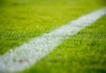 DAZN e Sky: i prossimi tre/cinque anni saranno epici! Scopri le sorprese che ti aspettano