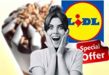 Gustosi gelati del celebre brand ora in offerta da Lidl: Approfitta subito prima che sia troppo tardi!