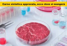 La rivoluzione della carne creata in laboratorio: il governo dà il via libera! Ma siamo destinati a mangiarla esclusivamente?