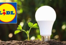 Limitata: Lampadine a LED LIDL a prezzo stracciato – Risparmio energetico, personalizzate di colore e versatile in ogni ambiente!