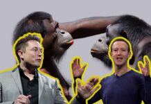 Lo scontro dei titani: Zuckerberg e Musk si sfidano a colpi di botte nel nuovo spettacolo dei miliardari annoiati