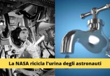 Sconfiggere la siccità con l’urina: la rivoluzione della NASA per il futuro dell’umanità