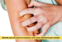 Sconfiggi le zanzare dell’estate con rimedi Green per garantirti dolci sogni notturni nella tua casa