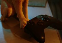 Scopri l’avventura felina di Stray su Xbox: il micio curioso che conquisterà il tuo cuore!