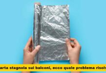 Scopri l’incredibile trucco della carta stagnola in balcone: risolve tutti i problemi con soli €2!