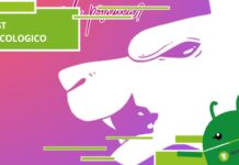 Svelato il tuo vero io: il sorprendente legame tra ciò che vedi per primo e la tua personalità – Fai subito il nostro test psicologico!