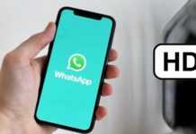 WhatsApp si aggiorna: File in HD, la nuova frontiera della condivisione!