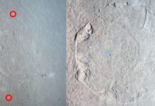 Alla scoperta del mistero oceanico: ecco il vero motivo per cui si trovano ottagoni in fondo al mare (niente a che fare con gli alieni!)