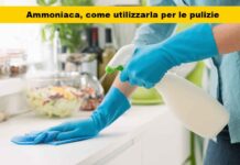 Ammoniaca domestica: scopri i suoi mille usi segreti e rendi la tua casa perfetta