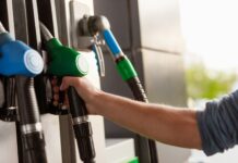 Biofuel: il futuro della mobilità sostenibile – L’Unione Europea promuove i ‘carburanti CO2 neutri’