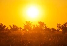 Caldo estivo record: iPhone, Mac e iPad resistono alle temperature massime!