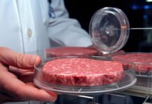 Carne a base cellulare: l’innovazione che rivoluzionerà la nostra alimentazione! Scopri tutto ciò che c’è da sapere su questa nuova frontiera gastronomica!