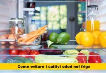 Fed-up del frigo maleodorante in estate? Scopri come dire addio agli odori sgradevoli e mantenere il cibo fresco e sano!