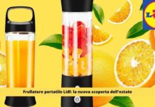 Frullati gelato a volontà con il frullatore portatile LIDL: il tuo alleato colorato e potente per mantenerti in forma!