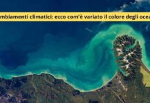 Gli oceani svelano un inquietante segnale: il Pianeta è in pericolo imminente e il prezzo sarà alto