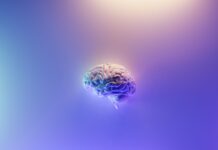 Il futuro dell’oncologia: l’IA che decifra il DNA dei tumori cerebrali in tempo reale durante l’intervento chirurgico