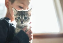 La storia incredibile di ciò che è accaduto a questo uomo ti lascerà senza parole!