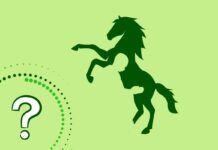 La verità celata nel feed: Scopri se sei onesto dal primo sguardo | Prova il test anche con il tuo partner!