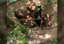 Metaldetectoristi coraggiosi: alla ricerca di bombe attive in Ucraina, scoprono il mistero degli aerei della WWII