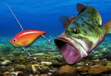 Pesca virtuale senza spendere un euro: Scopri come ottenere gratis SEGA Bass Fishing su Steam!