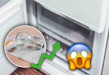 Risparmia sulla bolletta estiva! Scopri il trucco per evitare che il freezer faccia esplodere i costi