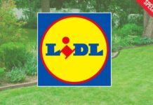 Risplendi con Lidl: illuminazione economica per il tuo giardino!