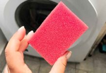Rivoluzione nel lavaggio dei piatti: scopri il Trucco della spugnetta per un cestello pulitissimo!