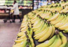 Saldi e Carta Risparmio Spesa: Scopri il segreto per una spesa a costo zero!
