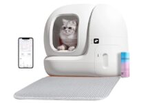 Sconto imperdibile su Prime Day: PetKit, la lettiera smart per gatti che si pulisce e deodora da sola al minimo! Offerta esclusiva solo per i migliori amici a quattro zampe