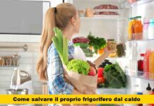 Scopri come dimezzare la bolletta senza cambiarlo: un semplice gesto che ti farà risparmiare alla grande!