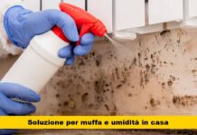 Scopri il segreto per eliminare l’umidità domestica in modo rapido ed economico: la tua salute ne dipende!