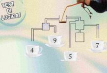 Scopri il segreto: quale tazzina si riempirà per prima? Sembra semplice, ma…