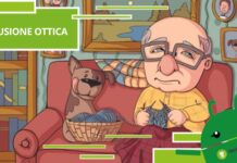 Sfida l’illusione: Scopri l’insetto segreto nascosto nell’immagine!