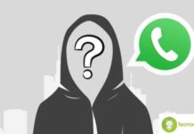 Svelati i segreti per inviare feed irresistibili: ecco i trucchi vincenti!