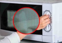 Svelato il mistero delle macchie nere sul vetro del forno a microonde: un dettaglio che potrebbe salvarti la vita!
