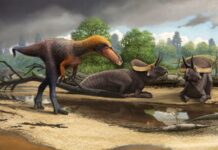 Svelato il segreto dei dinosauri: scopri il mondo futuristico in cui vivremmo se non si fossero estinti!
