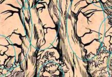 Test degli alberi: Quanti volti vedi nella foto? Solo i fenomeni riescono a trovarli tutti!