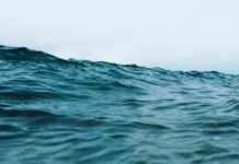 Un disastro imminente: l’Oceano Atlantico rischia il collasso entro il 2050. Scopri quali sono i motivi della nostra crescente preoccupazione.