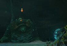 Zelda: Tears of the Kingdom | Sconfiggere il temibile Granfibio e salvare il regno!