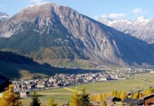 Zona Franca: Conviente ancora fare il pieno di carburante? Scopri le opportunità che ti stai perdendo!