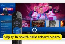del servizio!