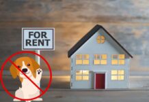 Affitto una casa: Diritti degli animali domestici negati? Scopri i dettagli sorprendenti!