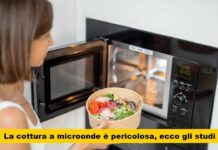 Allarme Microonde: I rischi per la salute e l’impatto tossico di materiali poco conosciuti | La verità che sorprende, proteggi te stesso!