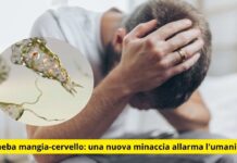 Ameba mangia-cervello: l’infezione fatale che minaccia l’umanità – Cosa sappiamo secondo gli esperti