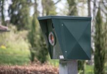 Autovelox spietati: le città italiane in cui rischi facilmente una multa da brivido!