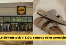 Birkenstock da sogno a soli €7: il nuovo fenomeno dei negozi LIDL che sta facendo impazzire tutti!