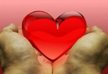 Donazione o Contratto Gratuito? Scopri la differenza e come funzionano per aiutarti a fare la scelta giusta!
