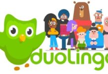 Duolingo sotto attacco: 2,6 milioni di utenti in pericolo! Scopri come proteggerti