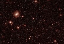 Euclid, l’occhio nel cielo: i meravigliosi scatti che ti lasceranno senza fiato