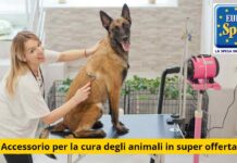 Eurospin: offerte shock per mantenere sicuri e sani i nostri amici animali con soli pochi euro – Ora disponibili anche a casa tua!
